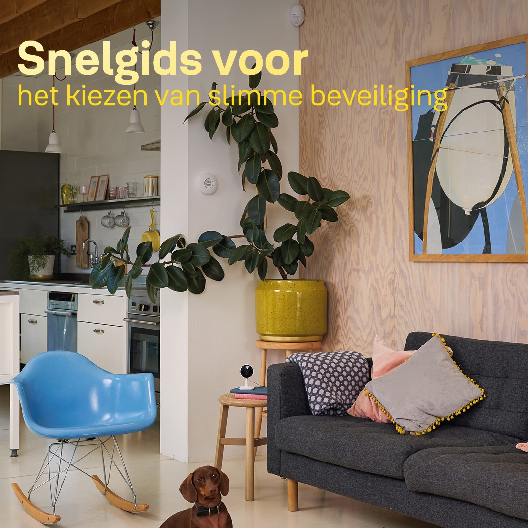 Eenvoudige woningbeveiliging voor senioren. Welke slimme domotica-oplossingen zijn er?